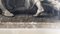 Lauwers after Jordaens, Jupiter & Mercury & Zeus & Hermes, 17th Century, Etching, Framed, Image 5