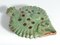 Vintage Green Ceramic Flounder Fish by Allan Hellman, Sweden, 1981 12