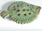 Vintage Green Ceramic Flounder Fish by Allan Hellman, Sweden, 1981, Image 9