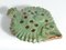 Vintage Green Ceramic Flounder Fish by Allan Hellman, Sweden, 1981 13