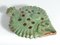 Vintage Green Ceramic Flounder Fish by Allan Hellman, Sweden, 1981, Image 13