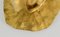 Candelabros modernistas de bronce dorado de Alexandre Clerget, década de 1900. Juego de 2, Imagen 11
