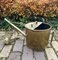 Large Brass Garden Watering Can, 1930s 7