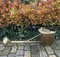 Annaffiatoio da giardino grande in ottone, anni '30, Immagine 10