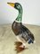 Large Decorated Metal Duck, Italy, 1980s, Image 1