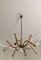 Italian Brass Chandelier with Twelve-Light Arms, 1940s 3