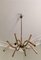 Lámpara de araña italiana de latón con 12 brazos, años 40, Imagen 3