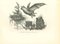 Paul Gervais, Il pipistrello, Litografia, 1854, Immagine 1