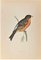 Alexander Francis Lydon, Mountain Finch, Woodcut Print, 1870 1