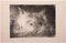 Giselle Halff, Il gatto, Incisione originale, anni '50, Immagine 1