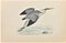 Alexander Francis Lydon, Heron, Gravure sur bois, 1870 1