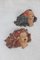 Art Deco Hand-Painted Female Ceramic Wall Figurines, 1960s, Set of 2, Image 1