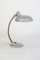 Bauhaus Gooseneck Table Lamp, 1970s 1