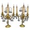 Early 20th Century French Brass and Crystal Girandoles Table Lamps, Set of 2 1