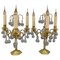 Early 20th Century French Brass and Crystal Girandoles Table Lamps, Set of 2, Image 1