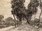 Después de Alfred Sisley, paisaje, aguafuerte, del siglo XIX., Imagen 3