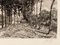 Después de Alfred Sisley, paisaje, aguafuerte, del siglo XIX., Imagen 5