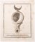 Marcantonio Iacomino, Oil Lamp, Etching, 18th Century 1