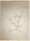 Leo Guida, L'uccello, Disegno a matita, anni '70, Immagine 1