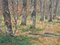 Nelson Gray Kinsley, Roe Deer in the Woods, 1890er, Öl auf Leinwand 14