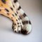 Vintage Italian Ceramic Leopard Sculptures, 1950s, Set of 2 10