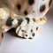 Esculturas de leopardo italianas vintage de cerámica, años 50. Juego de 2, Imagen 12
