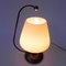 Vintage Desk Lamp with White Glass Shade, 1950s, Image 2