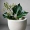 Vintage Ceramic Ikebana Flower Vase, 1980s 6