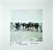 Bettino Craxi, Tunisian Camels, Photolitografia, anni '90, Immagine 1