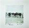 Bettino Craxi, Tunesische Kamele, Fotolithografie, 1990er 1