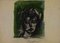 Mino Maccari, Portrait, Watercolor and Charcoal, Mid-20th Century 1
