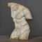 Buste de Guerrier de Style Romain, XXe Siècle, Matériau Composite 4