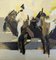 Altea, anni '50, dipinto a olio, con cornice, Immagine 11