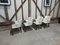 Ashmill Stühle von Ben Whistler, 4 . Set 12