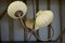 3 Palms Ceiling Lamp from Aqua Creations 2