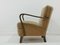 Mid-Century Lounge Chair, Germany, 1950s 2