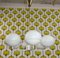 Chandelier in White Metal and Brass with 6 Opal Glass Domes, 1960s 7