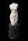 Escultura de un torso femenino, de principios del siglo XX, piedra, Imagen 1