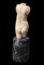 Escultura de un torso femenino, de principios del siglo XX, piedra, Imagen 3