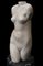 Sculpture of a Female Torso, Early 20th Century, Stone 6