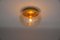 Lampade da soffitto piccole a forma di fungo in vetro dorato, Germania, anni '60, set di 2, Immagine 4