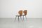 Bentwood Chairs by Carlo Ratti, Italy, 1950s, Set of 2 6