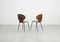 Bentwood Dining Chairs by Carlo Ratti, Italy, 1950s, Set of 2 2