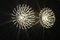 Silver Pistillo Wall or Ceiling Lights from Valenti Milano, 2000s, Set of 2 15