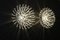 Silver Pistillo Wall or Ceiling Lights from Valenti Milano, 2000s, Set of 2, Image 15