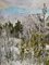 Georgij Moroz, Toward the Forest, 2000, Oil on Canvas 5