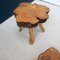 Brutalist Elm Coffee Table Set, 1960, Set of 2, Image 3