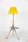 Lampadaire avec Abat-Jour Original, 1920s 1