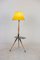 Lampadaire avec Abat-Jour Original, 1920s 2