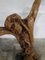 Tiburzi, Escultura de Cristo grande, madera de olivo, años 20, Imagen 7